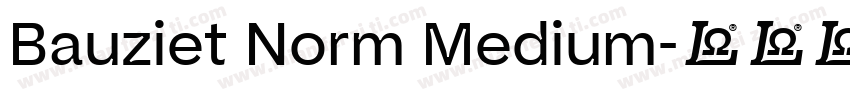 Bauziet Norm Medium字体转换